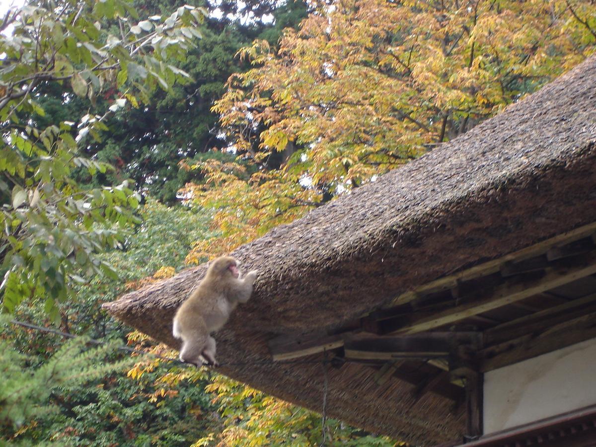 Hôtel Nishiya à Yonezawa Extérieur photo