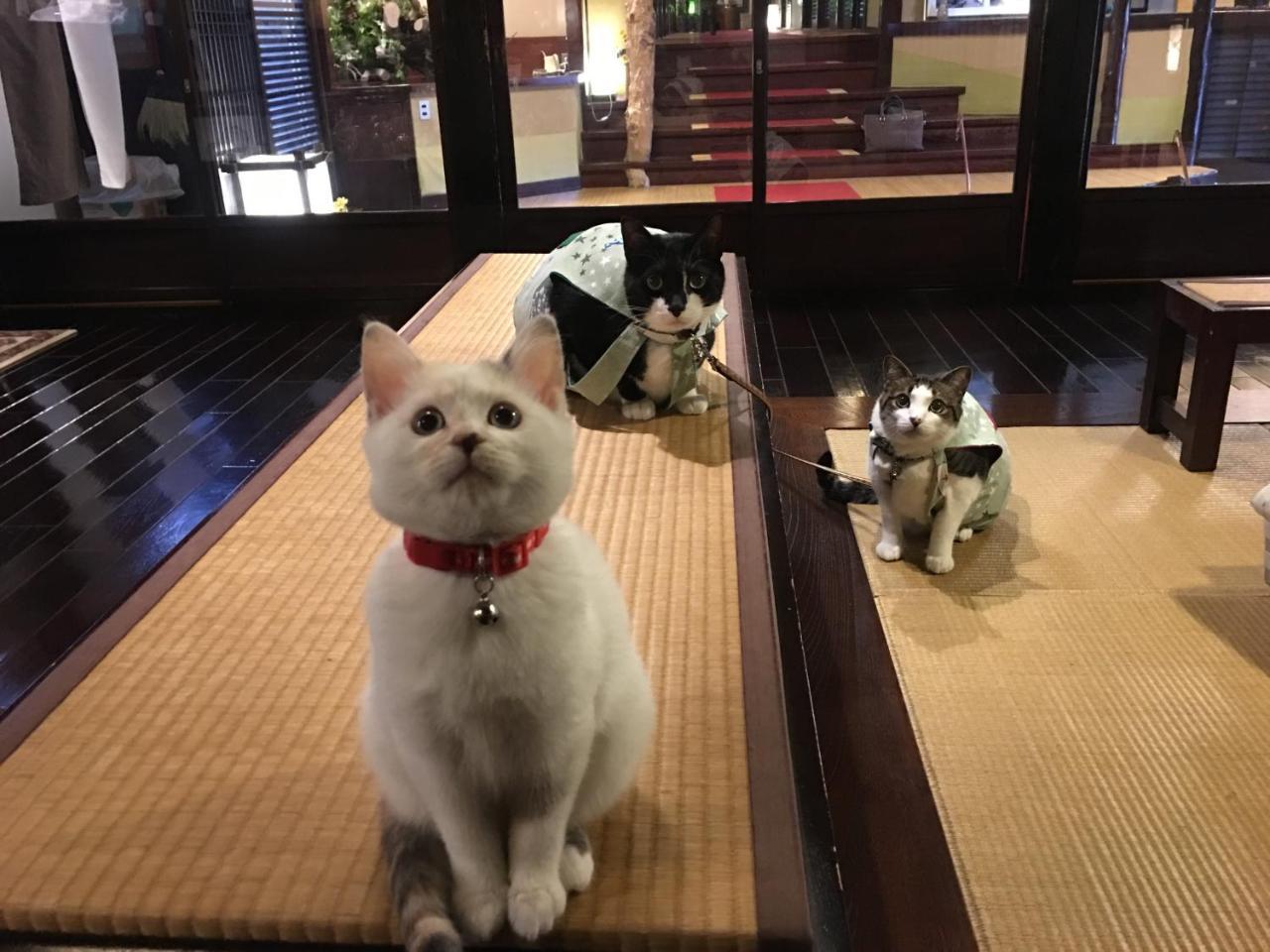 Hôtel Nishiya à Yonezawa Extérieur photo